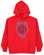 Planet USA Hoodie - Image 2
